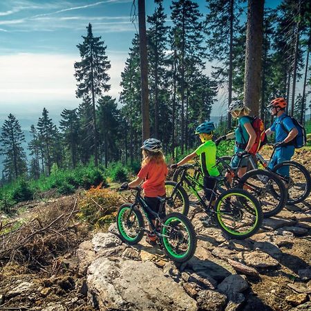 Ski Villa Rubicon Loučná pod Klínovcem Exteriér fotografie